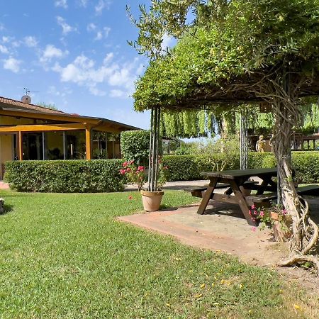 Agriturismo Terra Di Elea Azienda Agricola Di Raimondo Michela Ascea Bagian luar foto