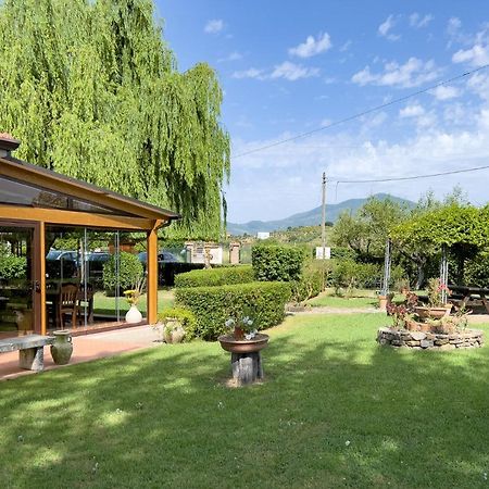 Agriturismo Terra Di Elea Azienda Agricola Di Raimondo Michela Ascea Bagian luar foto