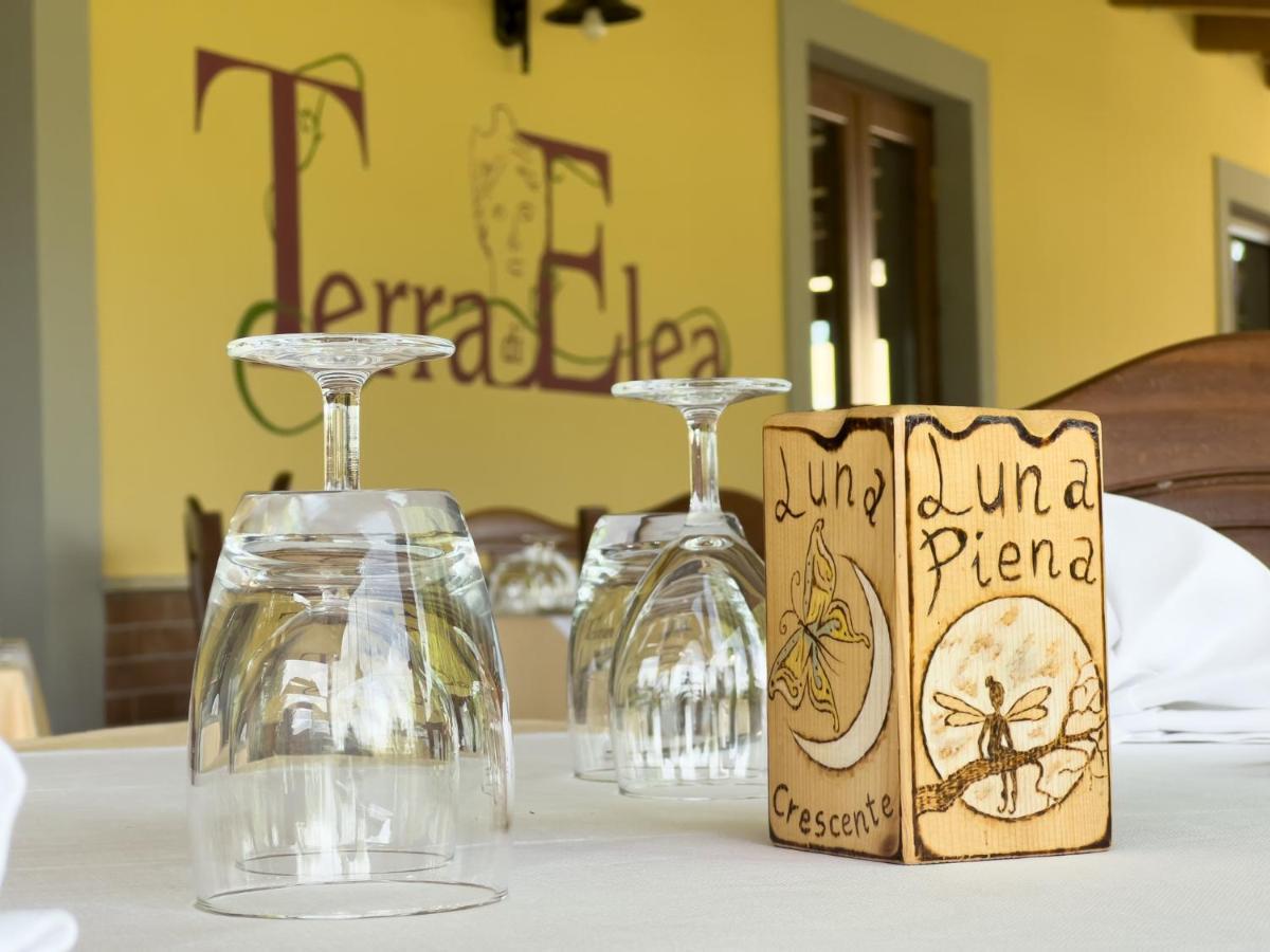 Agriturismo Terra Di Elea Azienda Agricola Di Raimondo Michela Ascea Bagian luar foto