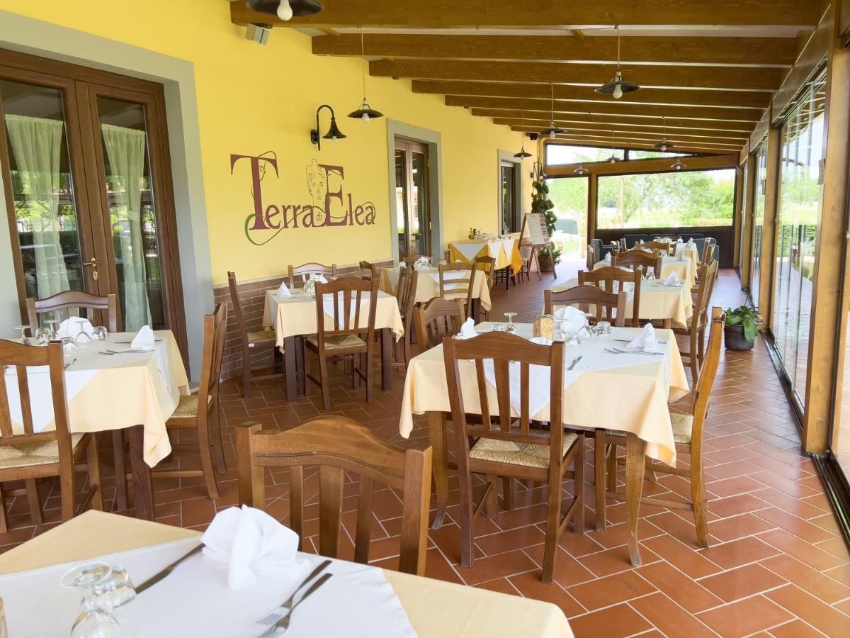 Agriturismo Terra Di Elea Azienda Agricola Di Raimondo Michela Ascea Bagian luar foto
