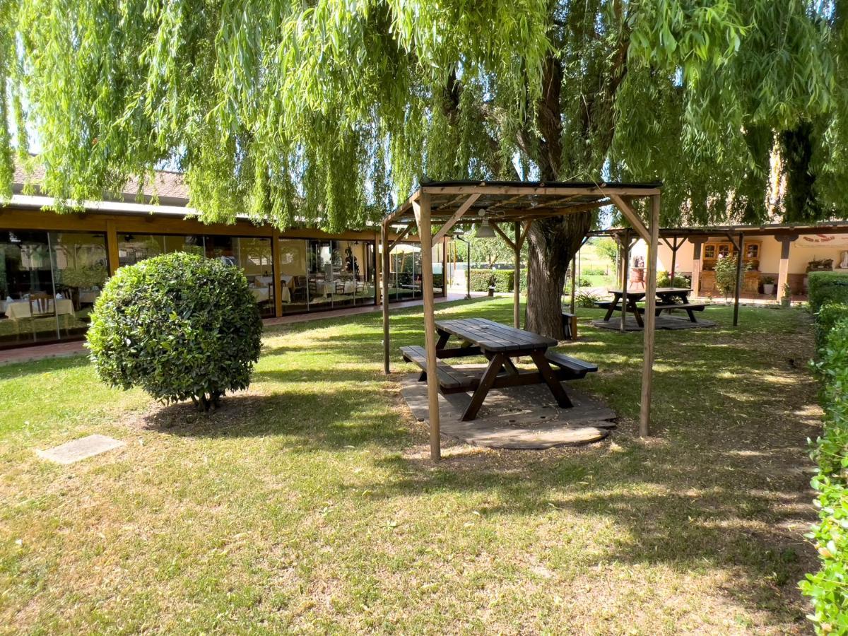 Agriturismo Terra Di Elea Azienda Agricola Di Raimondo Michela Ascea Bagian luar foto