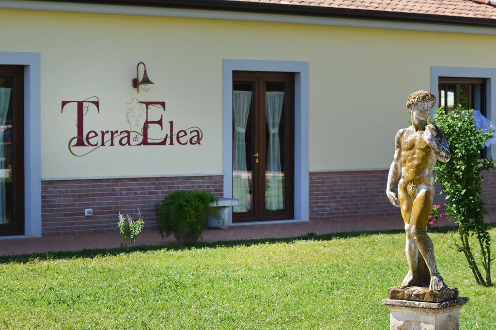 Agriturismo Terra Di Elea Azienda Agricola Di Raimondo Michela Ascea Bagian luar foto
