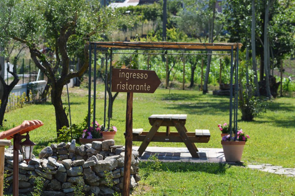 Agriturismo Terra Di Elea Azienda Agricola Di Raimondo Michela Ascea Bagian luar foto