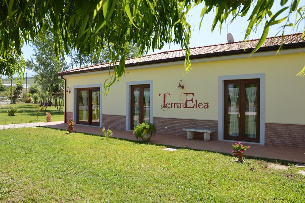 Agriturismo Terra Di Elea Azienda Agricola Di Raimondo Michela Ascea Bagian luar foto