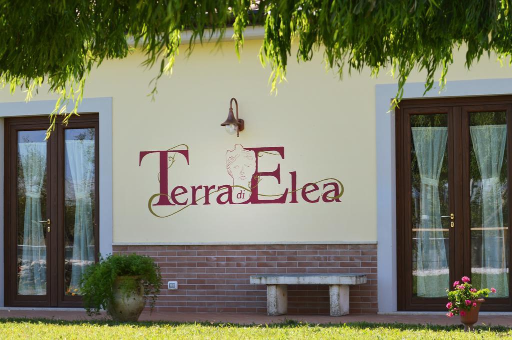 Agriturismo Terra Di Elea Azienda Agricola Di Raimondo Michela Ascea Bagian luar foto