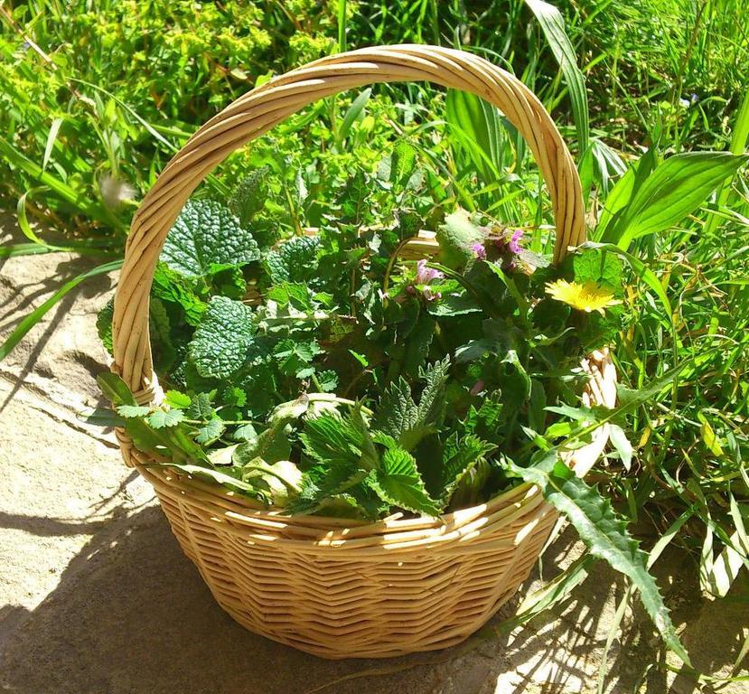 Agriturismo Terra Di Elea Azienda Agricola Di Raimondo Michela Ascea Bagian luar foto