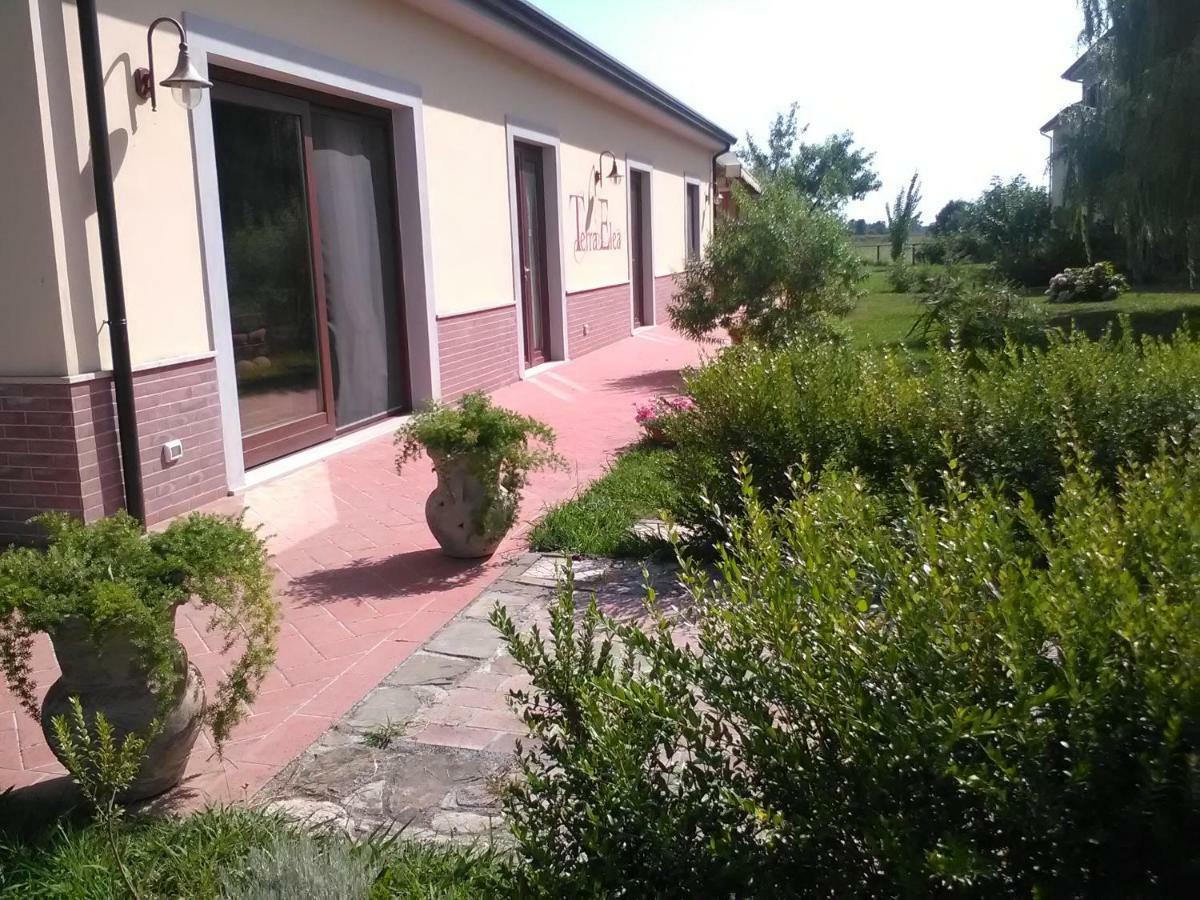 Agriturismo Terra Di Elea Azienda Agricola Di Raimondo Michela Ascea Bagian luar foto