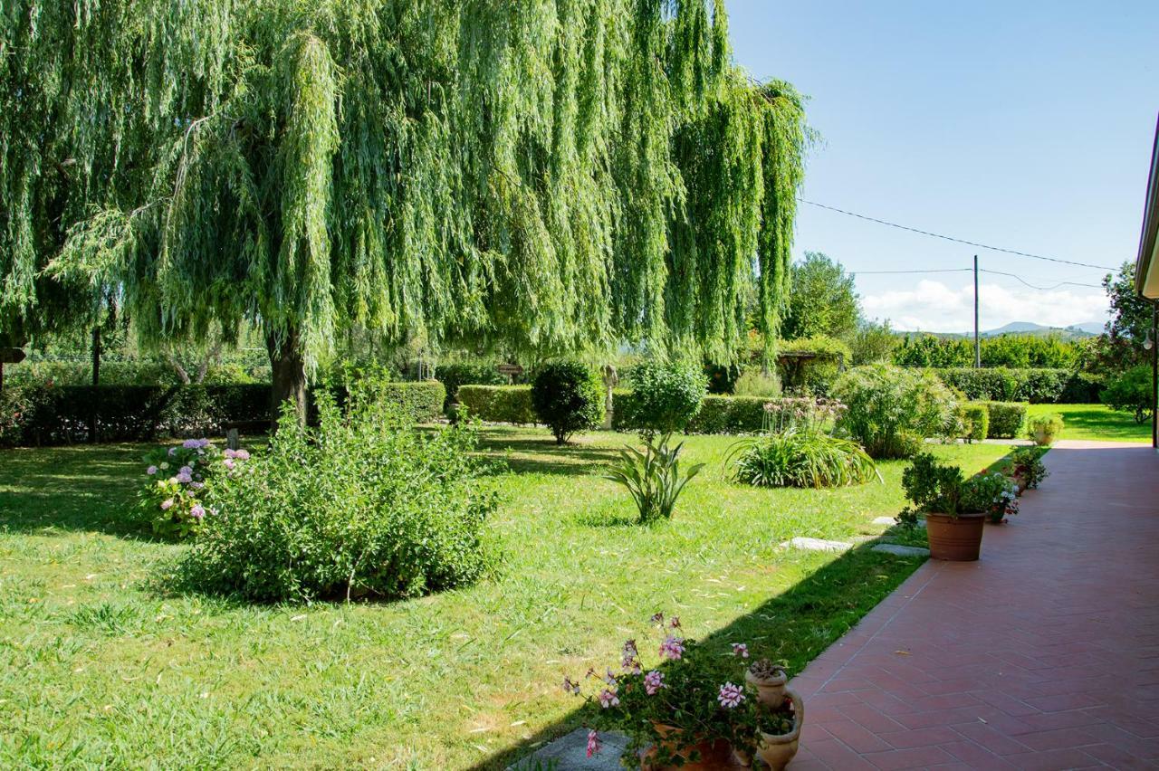 Agriturismo Terra Di Elea Azienda Agricola Di Raimondo Michela Ascea Bagian luar foto