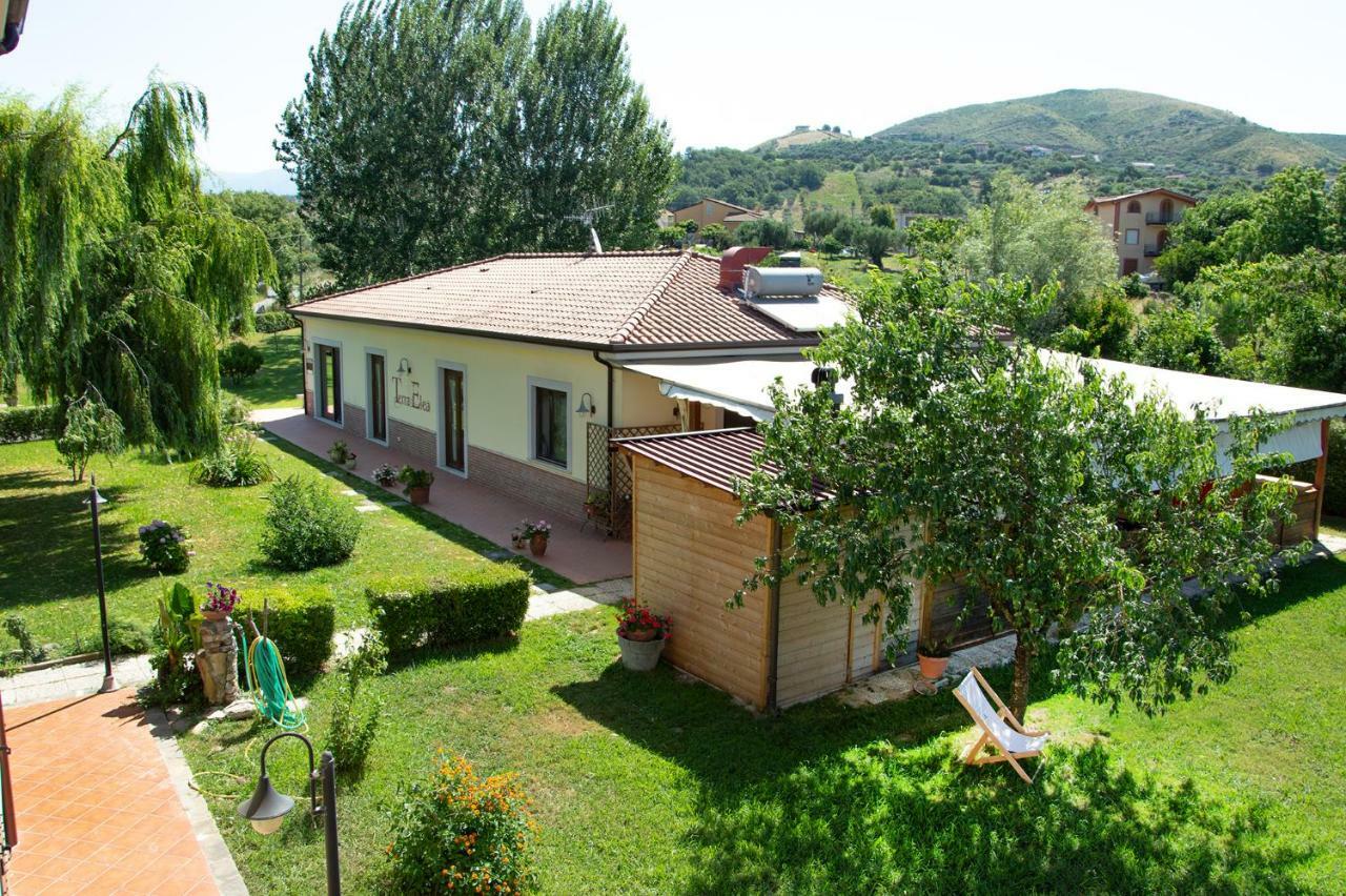 Agriturismo Terra Di Elea Azienda Agricola Di Raimondo Michela Ascea Bagian luar foto