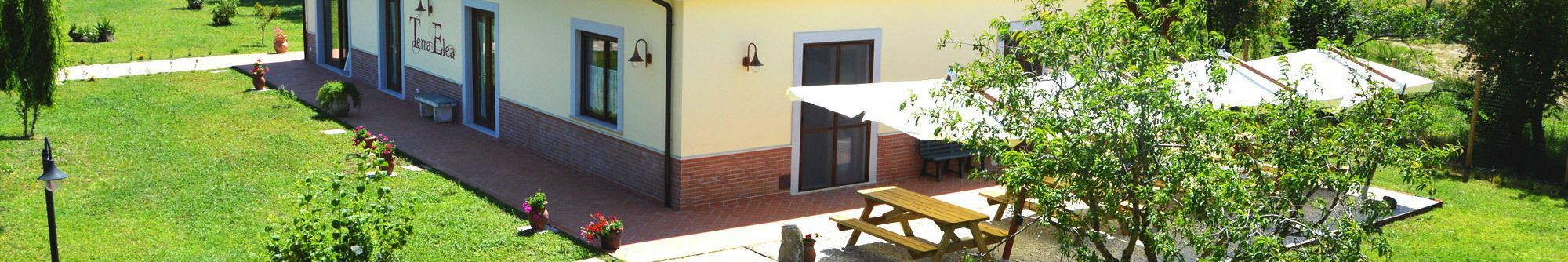 Agriturismo Terra Di Elea Azienda Agricola Di Raimondo Michela Ascea Bagian luar foto